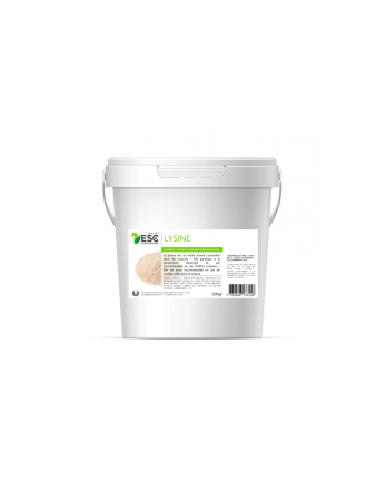 lysine-500g.png