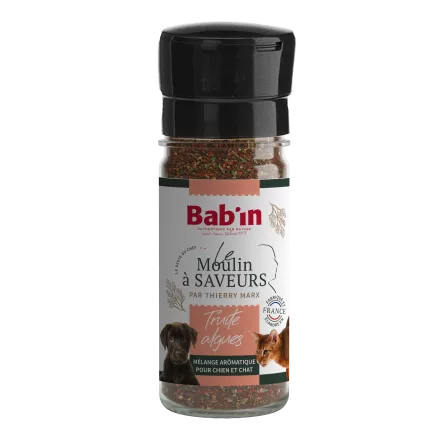 BAB\'IN - Moulin à Saveur Truite & Algues, par Thierry MARX
