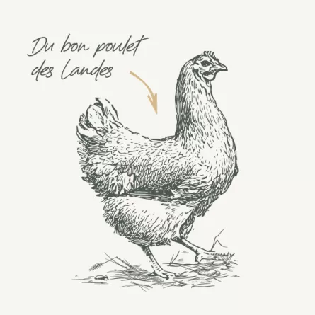 BAB\'IN® - Bab\'inette Boules de Poils Poulet