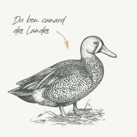 BAB\'IN® - Bab\'inette Canard