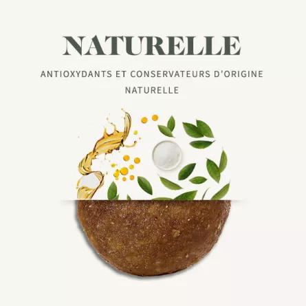 BAB\'IN® - LAB Chat Sensibilité Urinaire Poisson