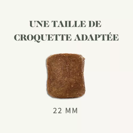 BAB\'IN® - SIGNATURE Adulte Maxi Chien Sans céréales Poulet