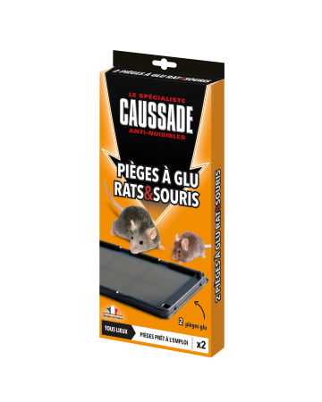 CAUSSADE - Piège à Glu Rats & Souris
