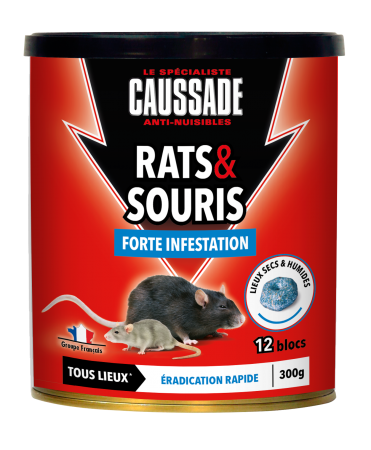 CAUSSADE - Rats & Souris (Forte Infestation) / Tous Lieux