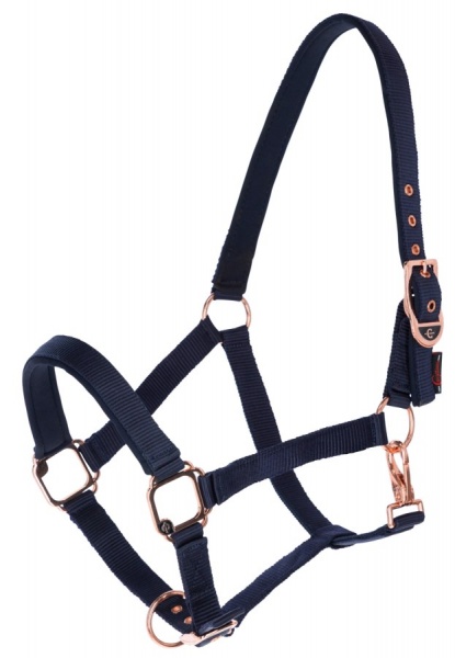 COVALLIERO  - Licol Cheval CLASSY Bleu Navy