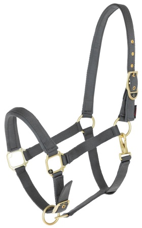 COVALLIERO  - Licol Cheval CLASSY Gris Stone