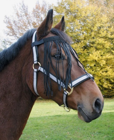 COVALLIERO - Franges anti-mouche (noir)