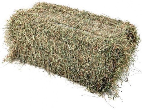 COVERDI - Foin Local de F�tuque (S�ch� au Champs)