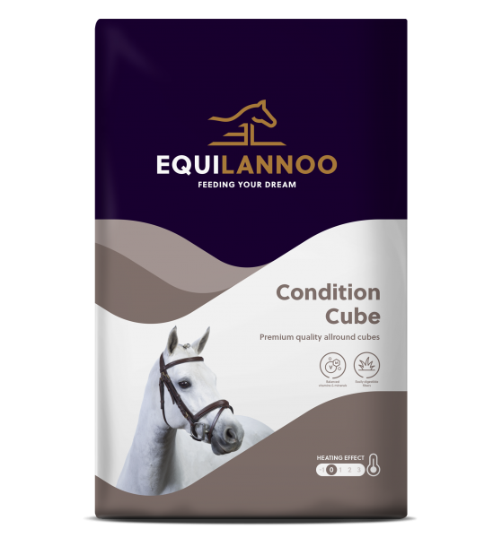 EQUIFIRST� --> EQUILANNOO� - Condition Cube