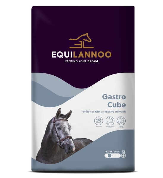 EQUIFIRST� --> EQUILANNOO� - Gastro Cube
