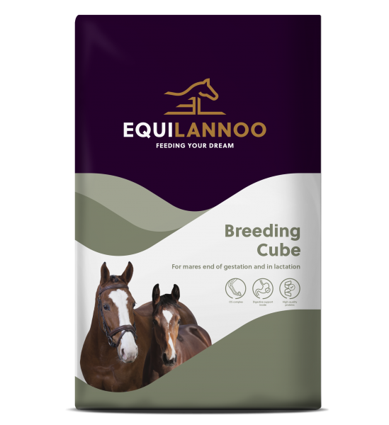 EQUIFIRST� --> EQUILANOO� - Breeding Cube (20 Kg.)