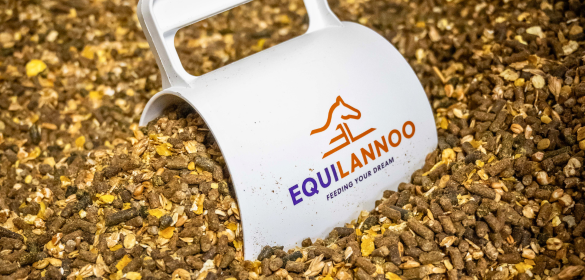 EQUILANNOO - Mesure 2 L