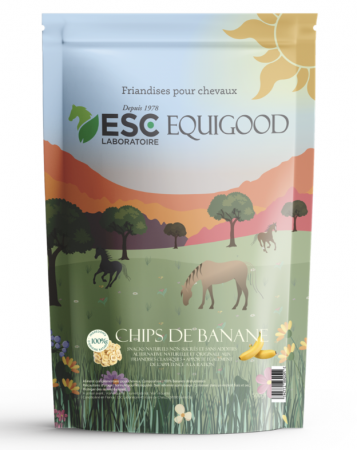 ESC LABORATOIRE - Chips de Banane, Friandises sans Sucre & Naturelles