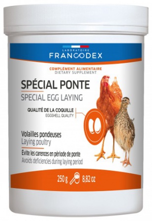 FRANCODEX - Spécial Ponte