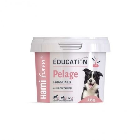 HAMI form® - ÉDUCATION Friandises Chien PELAGE