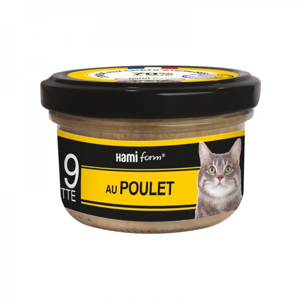 HAMIFORM - \ Les Cuisin�s\  - Recette au poulet N�19