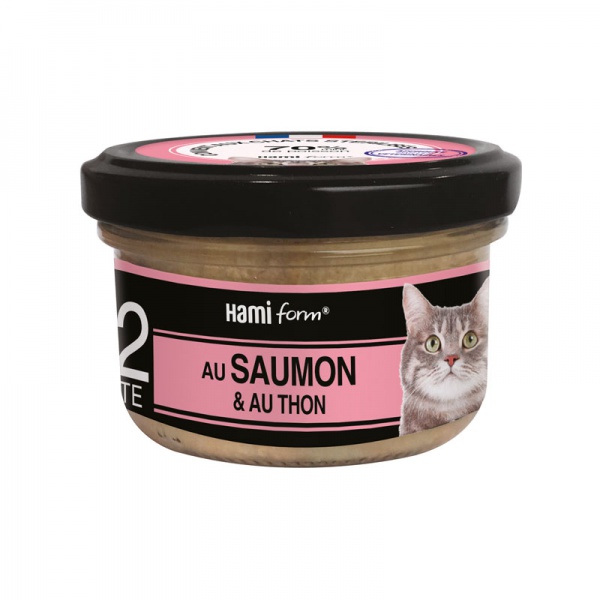 HAMIFORM - \ Les Cuisin�s\  Recette au saumon & au thon N�32