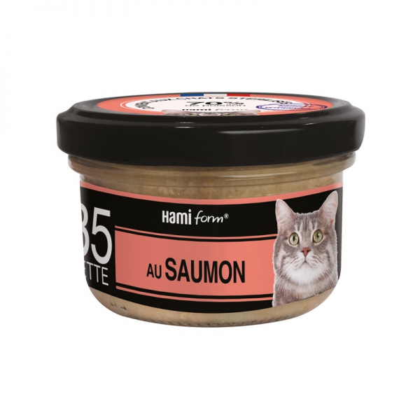 HAMIFORM - \ Les Cuisin�s\  Recette au saumon N�35