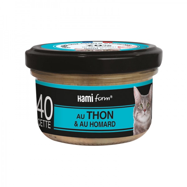 HAMIFORM - \ Les Cuisin�s\  Recette au thon & au homard N�40