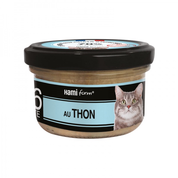 HAMIFORM - \ Les Cuisin�s\  Recette au thon N�36