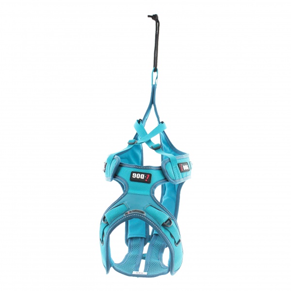 i-DOG - Harnais Canicross X-Back Phoenix ALM