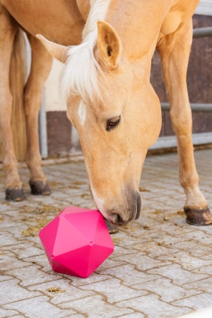 KERBL - Balle &agrave; friandises et d\'occupation
