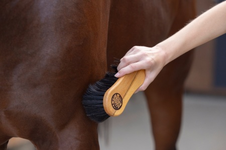 KERBL - MagicBrush Brosse de nettoyage bouchon