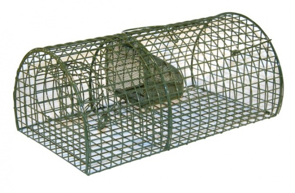 KERBL - Pi�ge / Nasse � Rats ALIVE (40 x 24 x 18 cm.)
