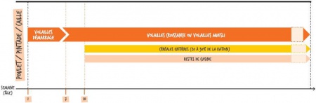 LE PRÉ DU CLOCHER - Volaille Croissance 10 Kg