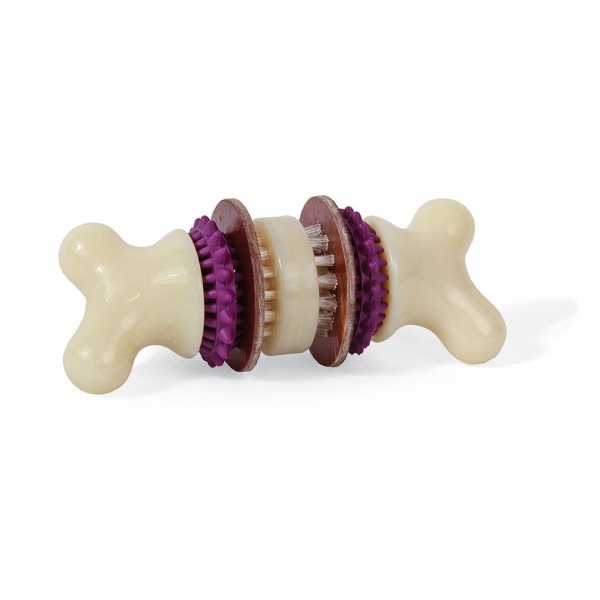 PetSafe - Jouet Chien Os Dentaire Rechargeable BRISTLE BONE