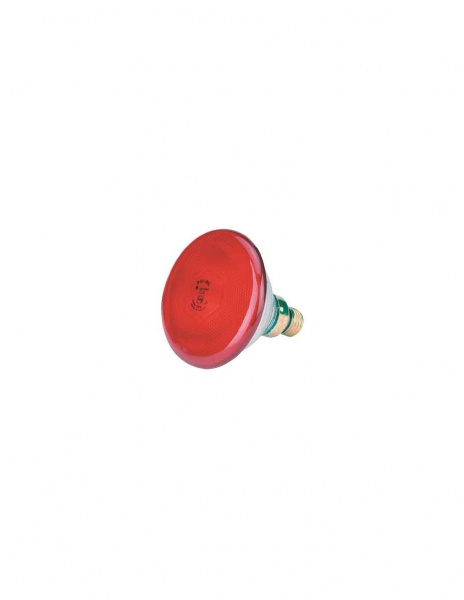 PHILIPS - Lampe Infrarouge 175W. (Incandescent 240 V. / PAR38 / 5000 h.) �conomie d\'�nergie