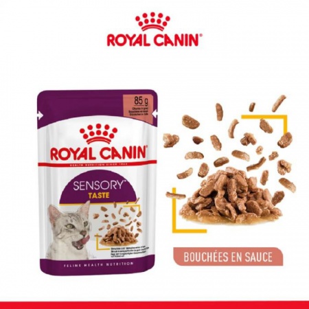 ROYAL CANIN - Sensory Taste Sauce 12x85g