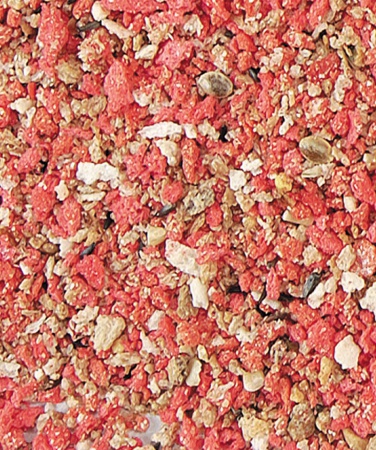 VERSELE-LAGA Orlux - Pâtée rouge aux oeufs - Canaris