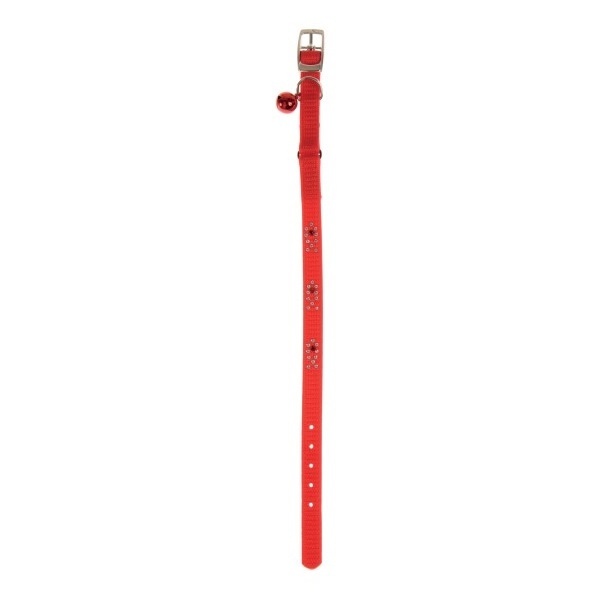 ZOLUX - Collier Night Fish pour chat