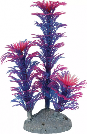 ZOLUX - Color - Plante artificielle 