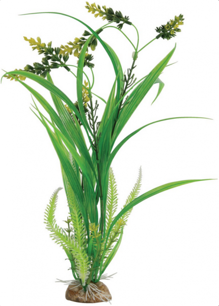 ZOLUX - D�co Composition Verdure Taille L
