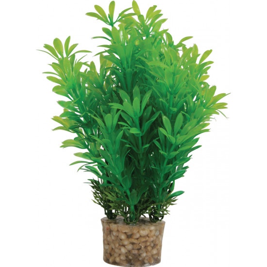 ZOLUX - D�co Plantes Artificielles MEDIUM T1
