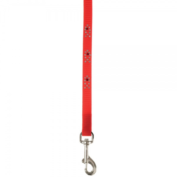 ZOLUX - Laisse Night Fish pour chat